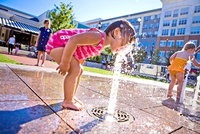 Fountain Fun Courtesy Towels