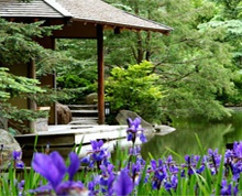 Anderson's Japanese Gardens Ride