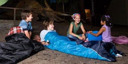 Bugs & Butterflies Themed Overnight at Milwaukee Public Museum