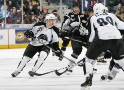 Rockford IceHogs @ Milwaukee Admirals