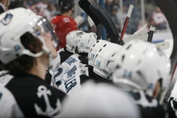 Peoria Rivermen @ Milwaukee Admirals