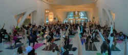 Yoga @ the Museum