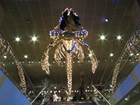 Lighting of the Whale