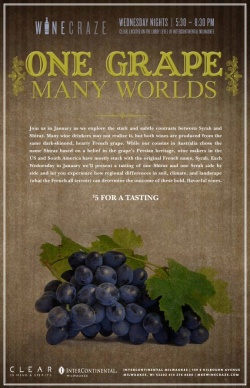 Wine Craze - Syrah and Shiraz