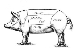 American Wild Game Dinner