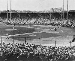 Lecture Series- American Association Milwaukee Brewers with Dr. Steele