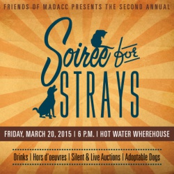 Soiree for Strays